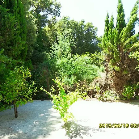 Apartment La Jacaranda